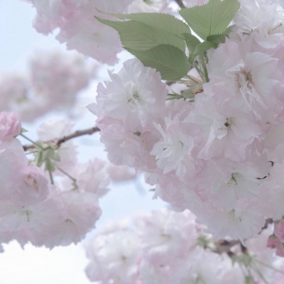 吴中福瑞交流群